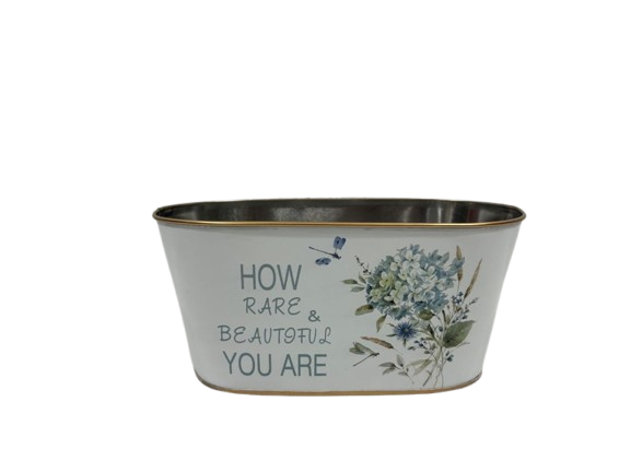 Metal Gift Basket Planter Holiday Garden Flower Indoor Outdoor Storage